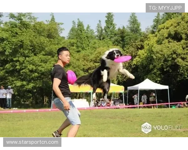 万狗体育引领宠物运动潮流实现全民健康生活